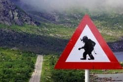 قامت شركة قانونية أمريكية بإنشاء فخاخ على موقع مشاركة الملفات "ذا بايريت باي" ثم قامت بمقاضاة الأشخاص الذين قاموا بتحميل ملفاتهم. وصلت القضية إلى مكتب التحقيقات الفدرالي، ووافق موقع القرصنة على التعاون مع السلطات، مما أدى إلى سجن المحامين الفاسدين.