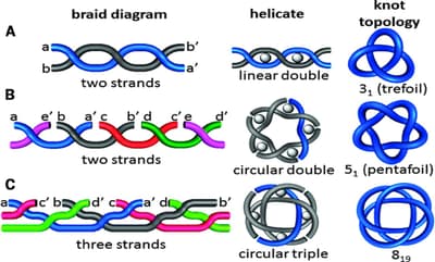 Seit dem 19. Jahrhundert haben Mathematiker und Wissenschaftler mehr als sechs Milliarden verschiedene Knotentypen identifiziert.