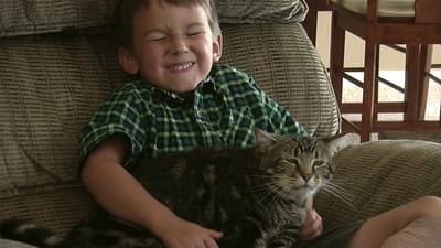 Hours after being adopted from an animal shelter, 21-pound cat Pudding with saved her owners life. While suffering a diabetic seizure, Amy Jung's newly acquired cat pounced his weight on her chest and began swatting her face and biting her nose until she gained consciousness.