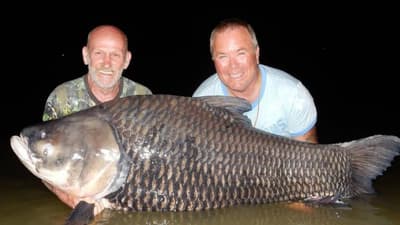 How Did Two Friends Use Their Buddy's Ashes to Catch a 180-Pound Carp?