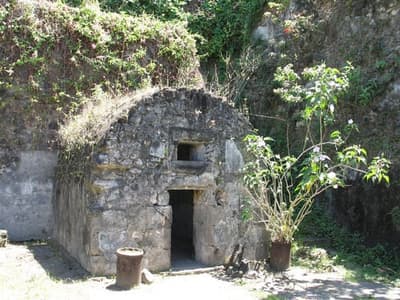 Who Survived the Eruption of Mt. Pelee?