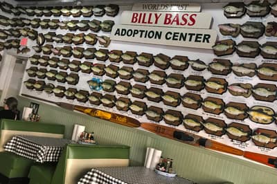 هل حصل آل غرين على إتاوات أعلى بفضل بيلي باس الفم الكبير؟