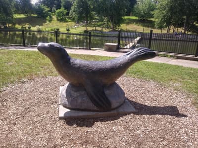 Какова история Ронды морской львицы?