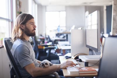 How Much is the Minimum Wage at Gravity Payments?