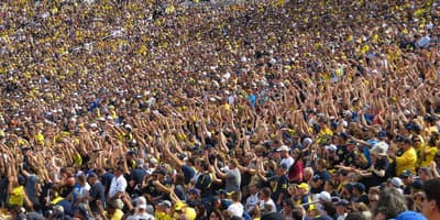 Where did “The Wave” Come From?