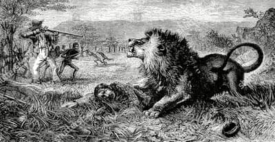 ¿David Livingstone fue atacado por un león?