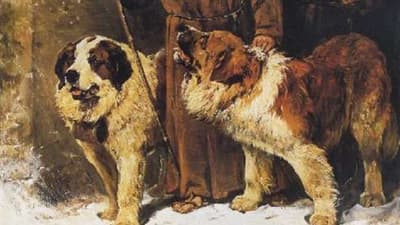 What Were Saint Bernards Originally Called?