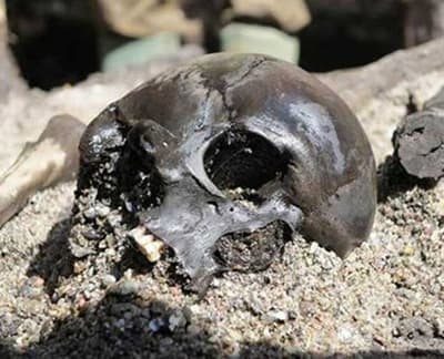 ما هو جيش المستنقعات الدنماركي؟