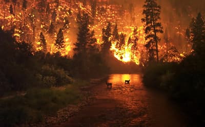 Where Did the Deadliest Wildfire Occur?