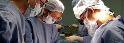 有多少人因器官移植感染狂犬病？