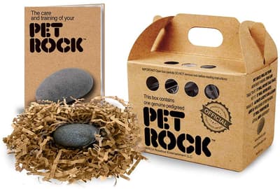 How Much Did Pet Rocks Cost?