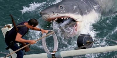 Steven Spielberg Decided to Shoot the Film "Jaws" from the Point of View of the Shark After the Giant Mechanical Shark They Built Kept Malfunctioning