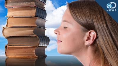 What Causes the "Old Book" Smell?