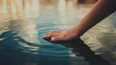 Humans Can Only Sense Temperature and Pressure. We Can Not Sense Wetness.