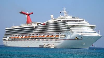 The Whale Tail on Cruise Ships is Designed to Direct Diesel Exhaust Over the Stern and Away from the Passengers