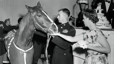Who is Sergeant Reckless?