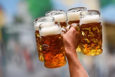 La Germania approvò la legge Reinheitsgebot nel 1516, che stabilisce che solo acqua, orzo e luppolo possono essere usati per produrre birra.