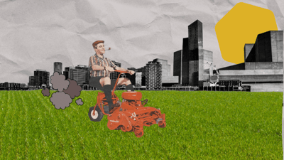 传统草坪起源于身份象征。整齐修剪的草坪仅用于美观，过去只有富裕人群才能维持。