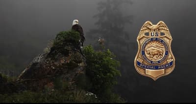 美国国家公园管理局设有自己的调查部门——相当于国家公园局的“FBI”，数十年来一直破获冷案