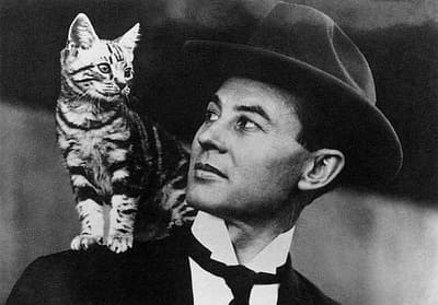 Em 1910, o gato Kiddo entrou a bordo de um dirigível e viajou por 71 horas. Ele foi então adotado pela filha de um dos aviadores