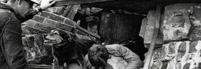 Рип был бродячей собакой, усыновленной патрульным воздушным налетом во время Второй мировой войны. Хотя он не был обучен спасательным работам, он смог помочь спасти более 100 жертв. Он был награжден медалью Дикина за свою работу.