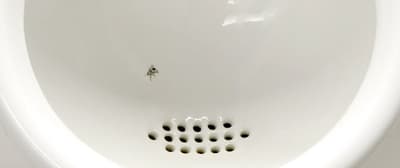 In an Attempt to Reduce the Cleaning Costs, an Airport in Amsterdam Installed a Picture of a Fly in the Urinals So Guys Can Aim at It and Avoid Splashing.