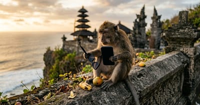 Os Macacos do Templo Uluwatu de Bali Roubam Telefones e os Trocam por Comida