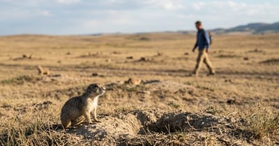 Prairie Dogs Can Describe the People Walking Past Their Burrows