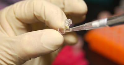 科学家将恶意软件编码到DNA中以入侵计算机