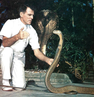 Bill Haast begann im Alter von 15 Jahren mit der Gewinnung von Schlangengift. Er gründete das Miami Serpentarium und injizierte sich über 60 Jahre lang selbst Gift. Sein Blut rettete 21 Schlangenbissopfer. Er entwickelte ein Giftserum gegen Polio. Er wurde über 170 Mal gebissen und wurde 100 Jahre alt.