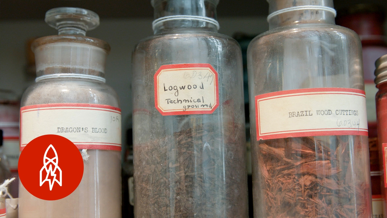 The user asks to translate the title from English to Italian, return only the translated title, nothing else.

We need to translate the given title: 

"Meet the man that protects the world's rarest colors, some being poisonous, and some very beautiful. One of the colors is a yellow pigment originating from dried cow urine where they were only fed mango leaves."

We need to produce an Italian translation, preserving meaning. Title is long. Italian translation:

"Incontra l'uomo che protegge i colori più rari del mondo, alcuni velenosi e altri molto belli. Uno dei colori è un pigmento giallo che proviene dall'urina secca di mucca, dove venivano alimentate solo con foglie