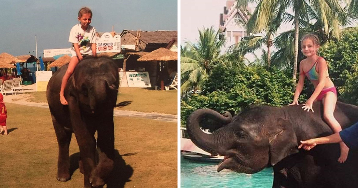 In 2004, an elephant saved a girl's life in Thailand when a tsunami occurred. The girl was riding on the elephant before it hit and the elephant was able to take her to higher ground without trying to throw her off. Today, the girl's family donates to elephant charities in Thailand.