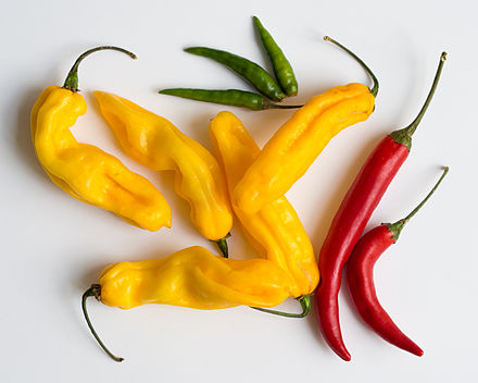 Despite the importance of chili peppers to many Asian cuisines, they are actually native to the Americas and were only later introduced to Asia through trade.