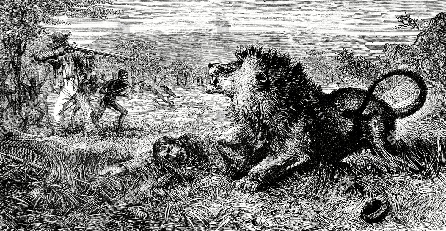 The user asks to translate a title from English to French. The title: "Did David Livingstone Get Mauled By a Lion?" We need to output only the translated title, nothing else.

We must ensure compliance with policy. The content is a question about historical figure David Livingstone being mauled by a lion. It's not disallowed. It's a factual question. It's allowed. So we can translate.

French translation: "David Livingstone a-t-il été attaqué par un lion ?" Or "David Livingstone a-t-il été dévoré par un lion ?" But "mauled" is "être attaqué" or "être blessé". "Mauled" = "être griffé" maybe. 