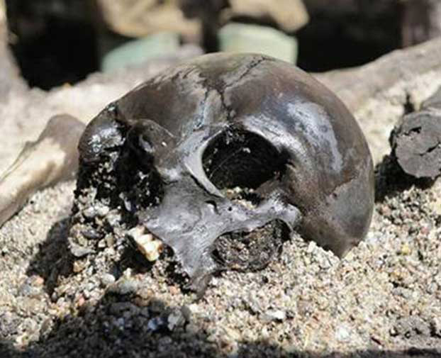 Was ist die dänische Moorarmee?