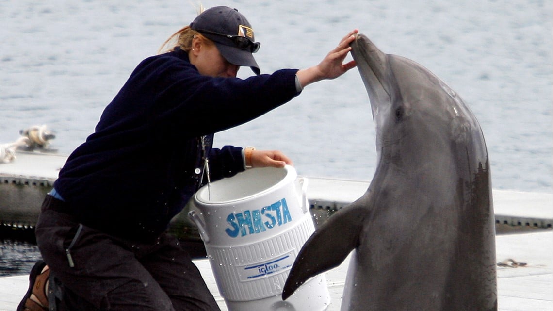 谁在保护美国四分之一的核武库？