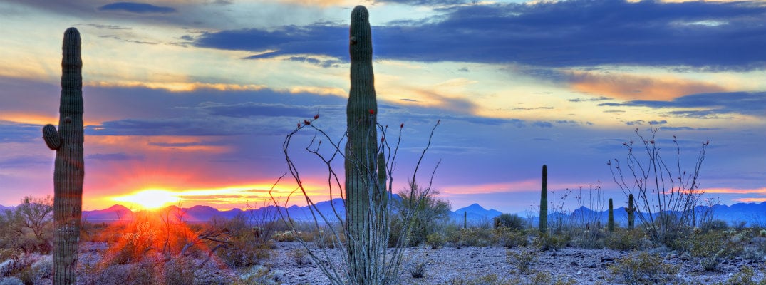 Yuma, Arizona is the Sunniest City on Earth with More Than 4,000 Sunlight Hours a Year.