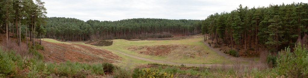 Scenes for Gladiator, Band of Brothers, Children of Men, Thor, and Even Coldplay’s Music Video were Filmed in the Same Woodlands in Surrey, England.