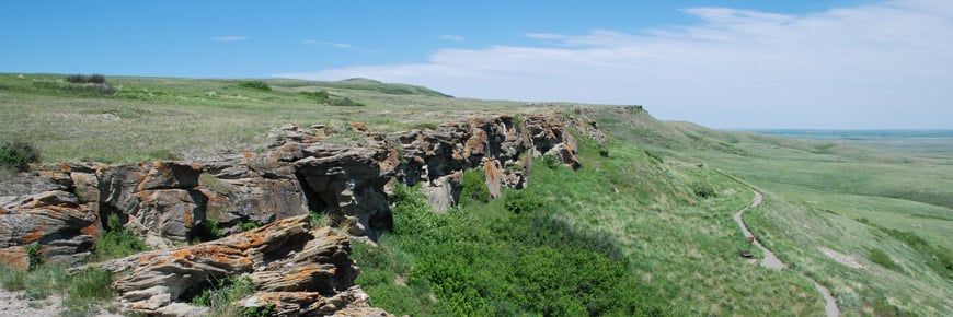 There is a UNESCO World Heritage Site in Alberta, Canada, called "Head-Smashed-In Buffalo Jump." It is Where the Aboriginal People Used to Chase Buffalos Off a Cliff.