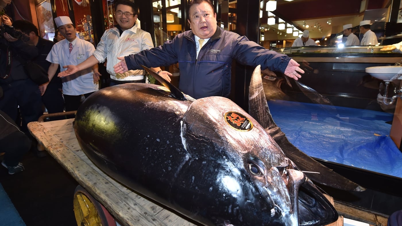 A Single 612-Pound Bluefin Tuna Sold for $3.1 Million at a 2019 Auction in Japan