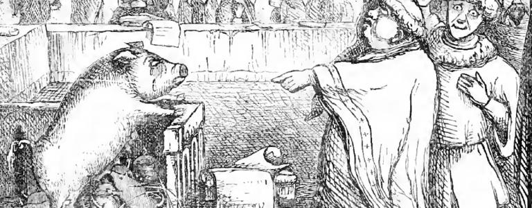 Animals were Routinely Jailed, Tried, Convicted, and Executed in Medieval France.