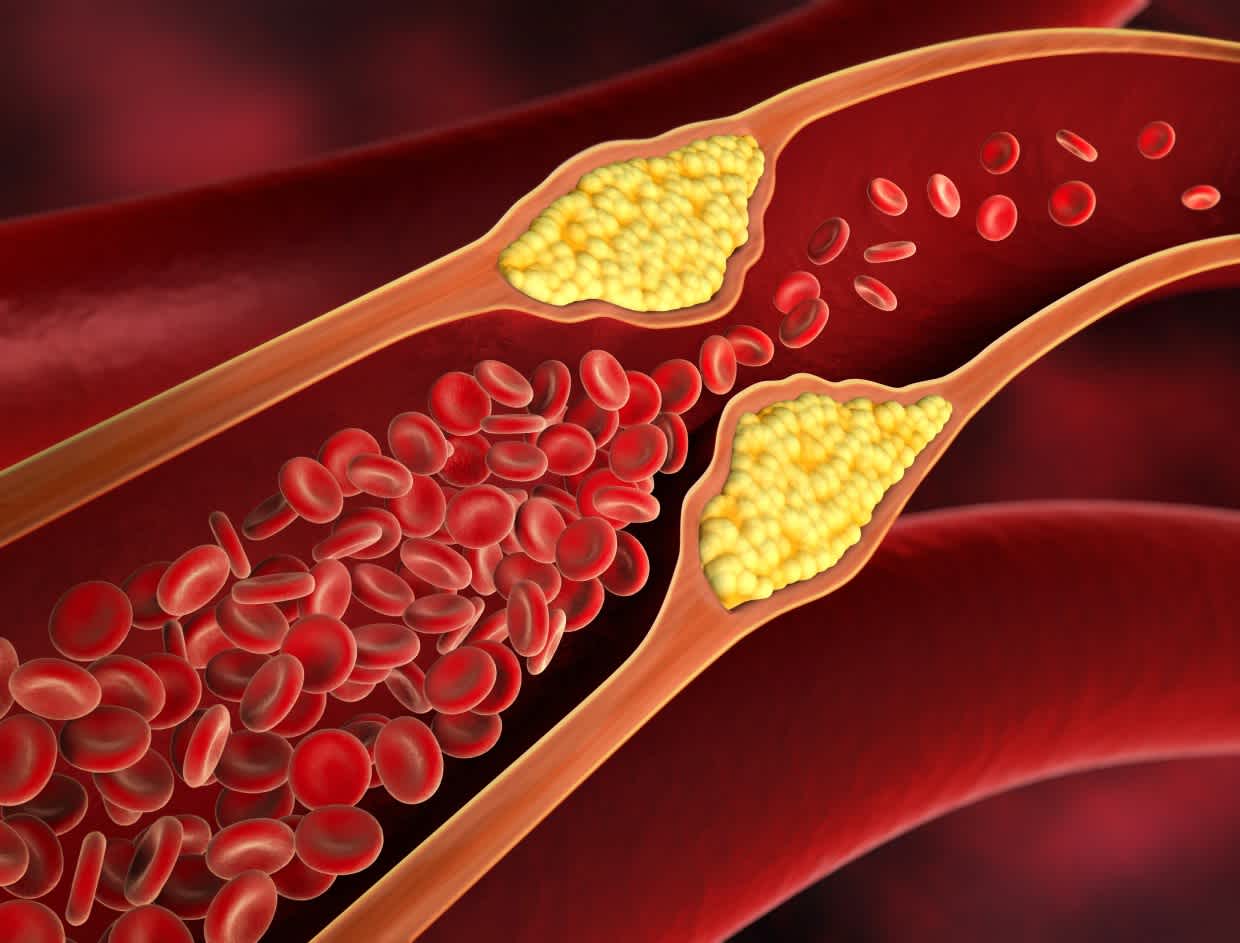 Cholesterol Plays a Vital Role in the Human Body. The Liver Makes About 80% of the Cholesterol in Our Body.