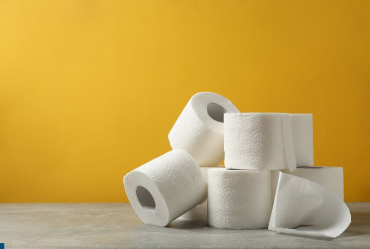 Before the Toilet Paper Was Invented, People Used Corn Husks, Sea Sponges, and Even Seashells After Using the Toilet.