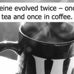 While both tea and coffee plants produce caffeine, this trait evolved independently - meaning caffeine production developed at least twice.