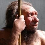The reason why we view neanderthals as hunched over and degenerate is that the first skeleton to be found was arthritic.
