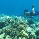 A rare mutation among the Bajau people lets them stay underwater longer: natural selection at the PDE10A gene has increased spleen size in the Bajau, providing them with a larger reservoir of oxygenated red blood cells.