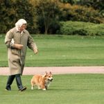 Queen Elizabeth II stopped breeding Welsh Corgis so none would outlive her. Her last Corgi died in April of 2018.