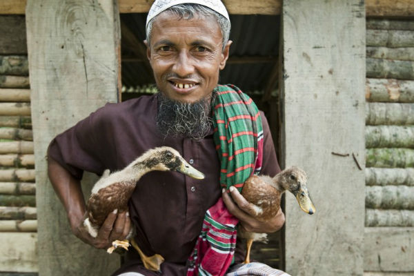 Enten aus Bangladesch