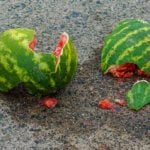 broken watermelon on the ground