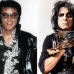 Did Alice Cooper Point A Loaded Gun at Elvis Presley?